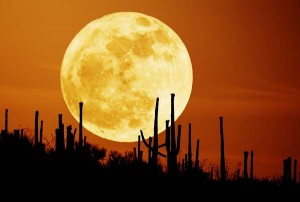 bulan