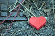 Sekeping Cinta yang Hilang