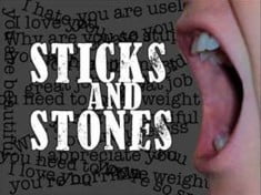 STICKS AND STONES