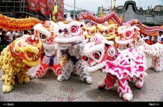 Barongsai Cinta