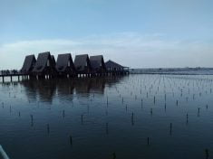 Pantai Utara