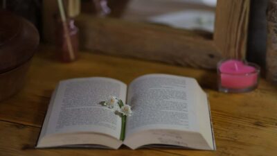 Sastra Klasik Indonesia, Warisan Estetika, Nilai, dan Identitas Bangsa